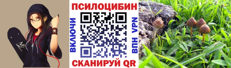 мега сайт  Медвежьегорск  Псилоцибиновые грибы ЛСД 