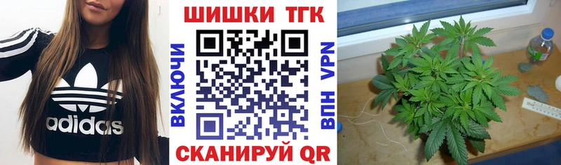 Марихуана сатива  Медвежьегорск 